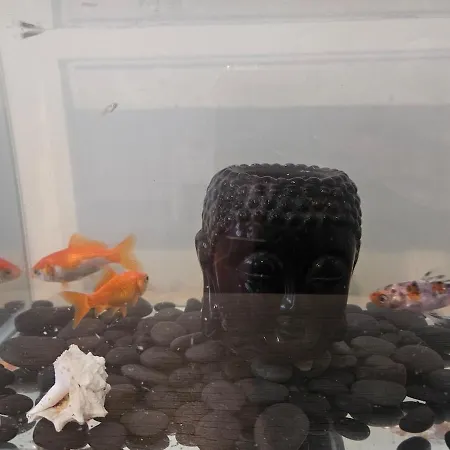 Parque Nacoes * Lizbona