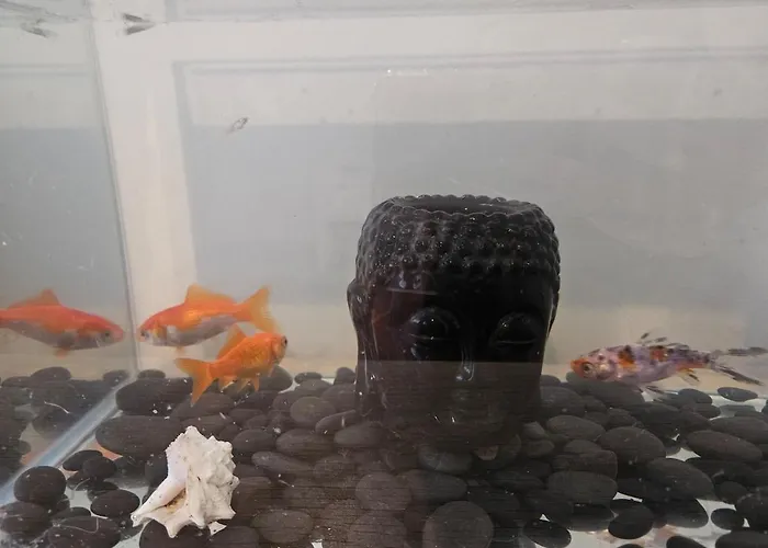 Parque Nacoes * Lissabon